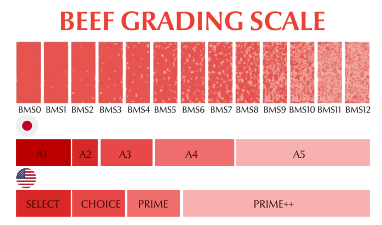Beef grading scale Wagyu vs Angus