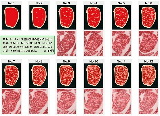 marbling grading chart